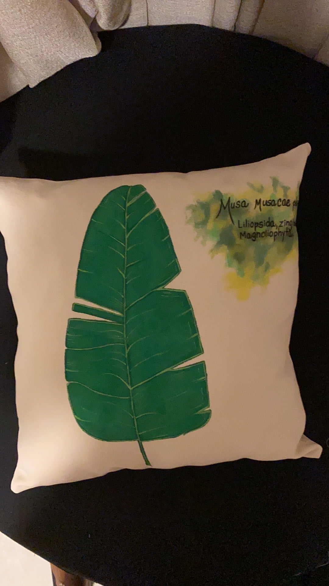 Cojines Pintados a Mano
