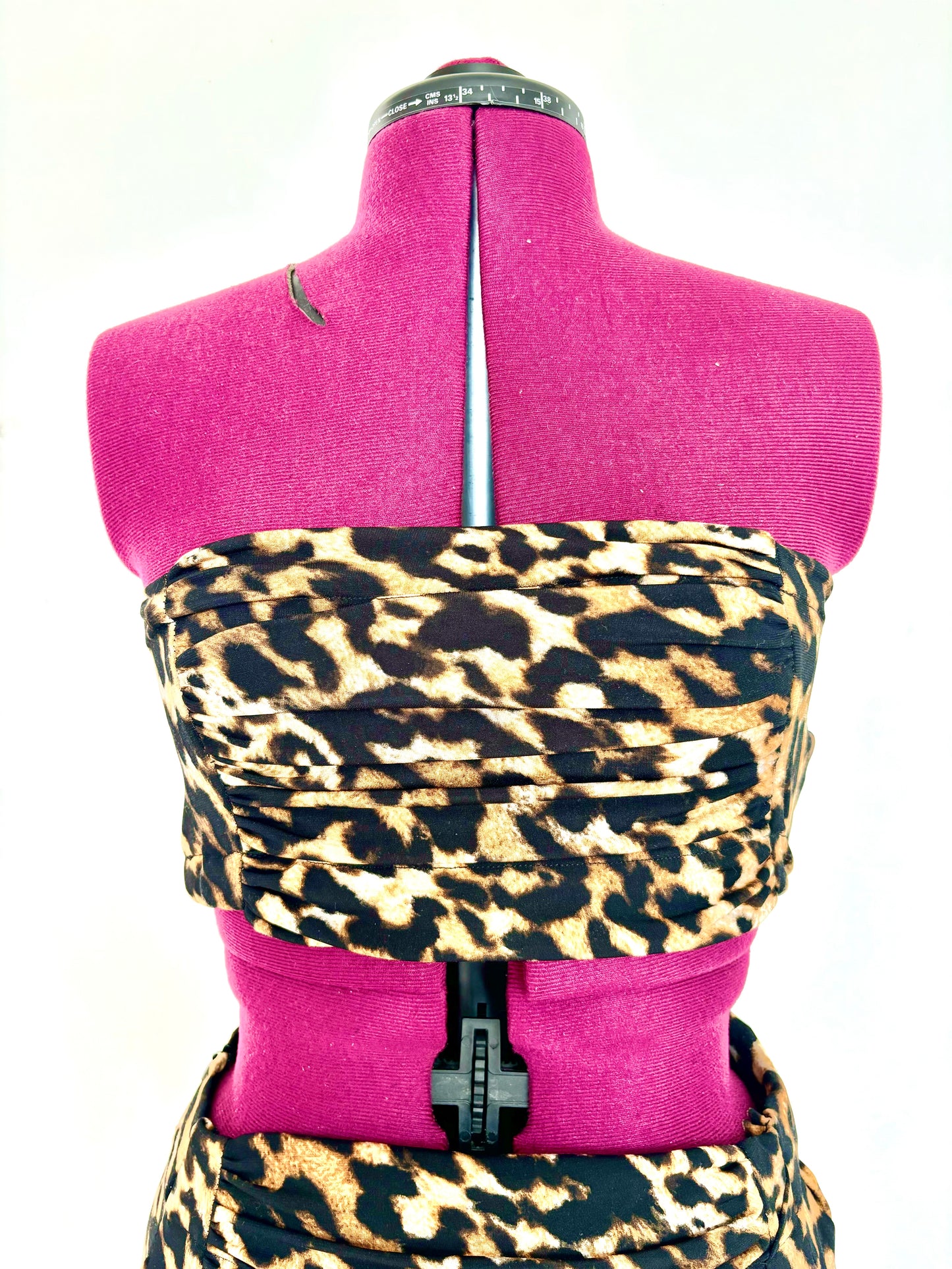 Conjunto CheetahPr2