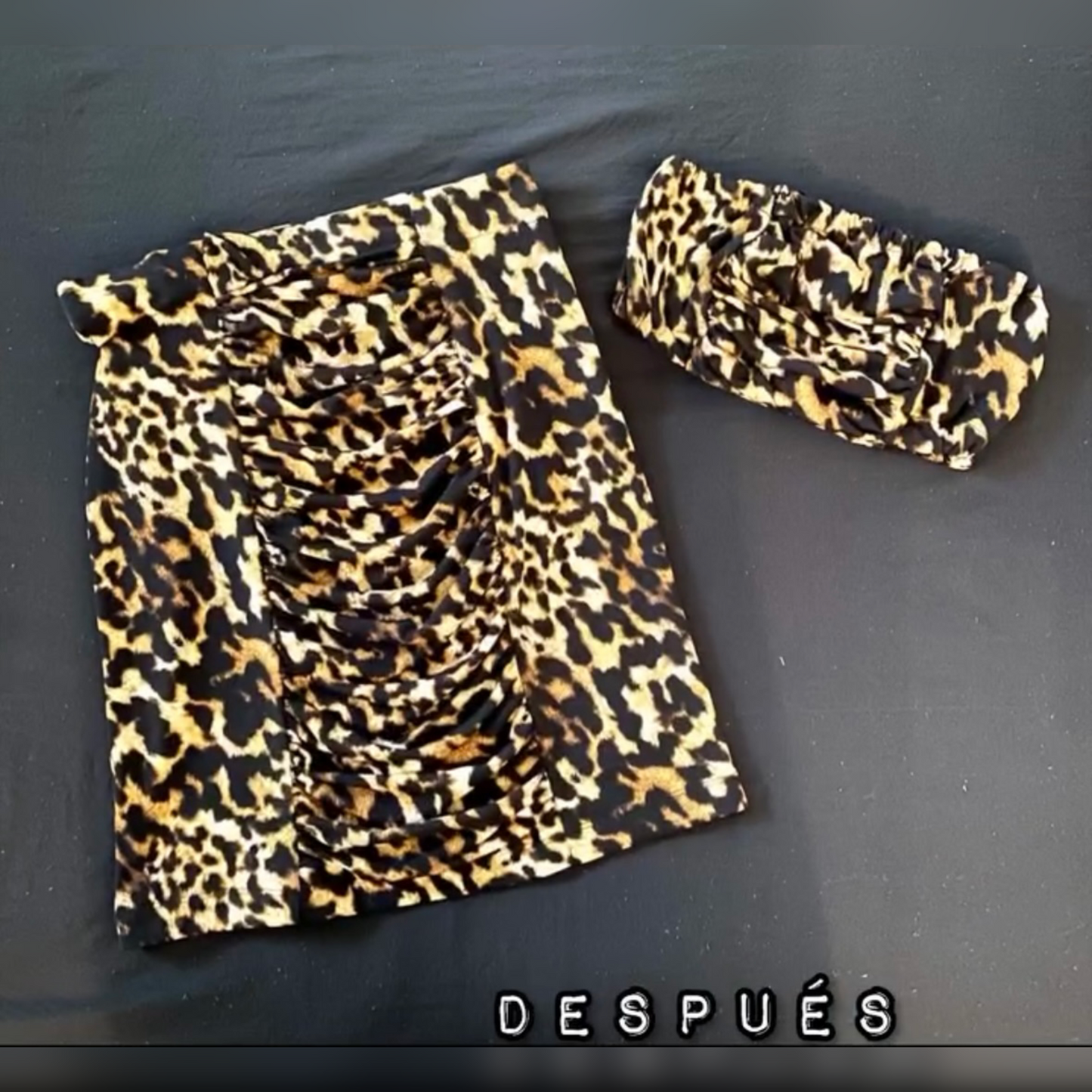 Conjunto CheetahPr2