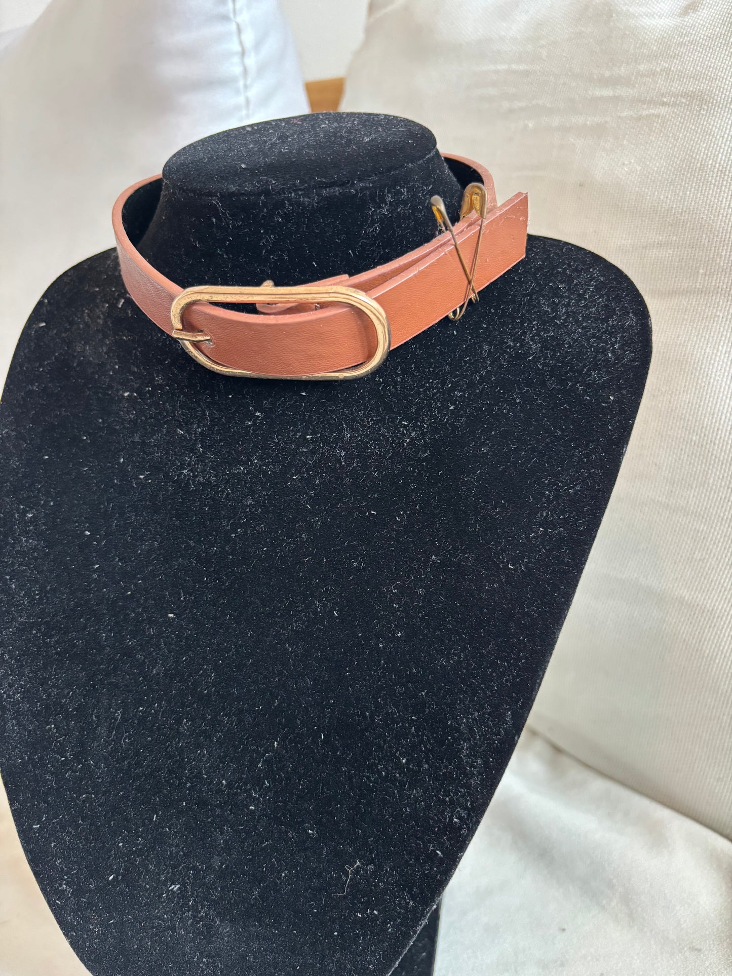 Conjunto Excorrea